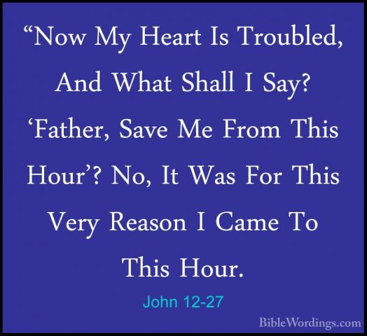 John 12-27 - "Now My Heart Is Troubled, And What Shall I Say? 'Fa"Now My Heart Is Troubled, And What Shall I Say? 'Father, Save Me From This Hour'? No, It Was For This Very Reason I Came To This Hour. 