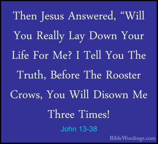 John 13-38 - Then Jesus Answered, "Will You Really Lay Down YourThen Jesus Answered, "Will You Really Lay Down Your Life For Me? I Tell You The Truth, Before The Rooster Crows, You Will Disown Me Three Times!