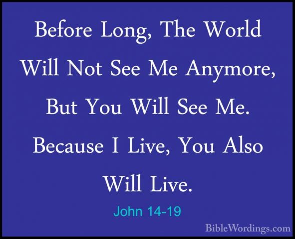 John 14-19 - Before Long, The World Will Not See Me Anymore, ButBefore Long, The World Will Not See Me Anymore, But You Will See Me. Because I Live, You Also Will Live. 