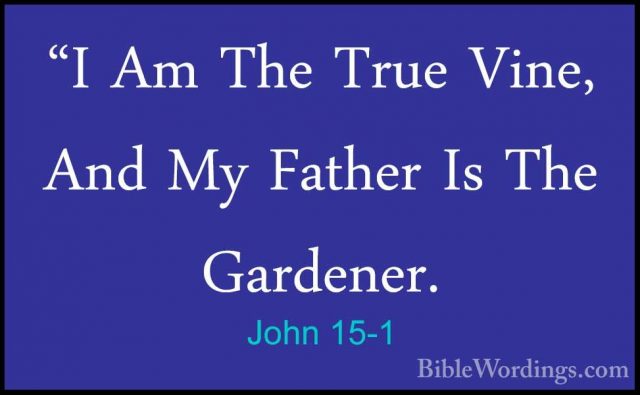 John 15-1 - "I Am The True Vine, And My Father Is The Gardener."I Am The True Vine, And My Father Is The Gardener. 