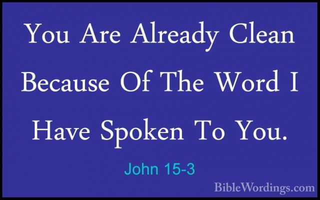 John 15-3 - You Are Already Clean Because Of The Word I Have SpokYou Are Already Clean Because Of The Word I Have Spoken To You. 
