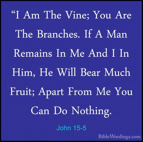 John 15-5 - "I Am The Vine; You Are The Branches. If A Man Remain"I Am The Vine; You Are The Branches. If A Man Remains In Me And I In Him, He Will Bear Much Fruit; Apart From Me You Can Do Nothing. 