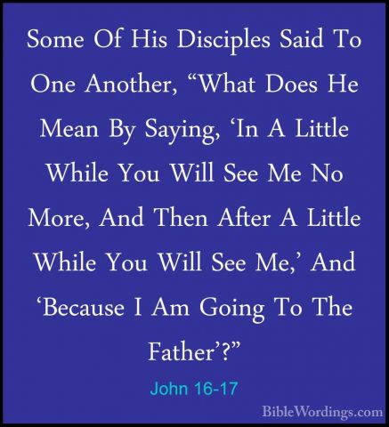 John 16-17 - Some Of His Disciples Said To One Another, "What DoeSome Of His Disciples Said To One Another, "What Does He Mean By Saying, 'In A Little While You Will See Me No More, And Then After A Little While You Will See Me,' And 'Because I Am Going To The Father'?" 