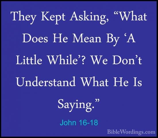 John 16-18 - They Kept Asking, "What Does He Mean By 'A Little WhThey Kept Asking, "What Does He Mean By 'A Little While'? We Don't Understand What He Is Saying." 