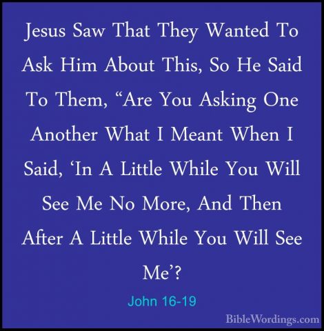 John 16-19 - Jesus Saw That They Wanted To Ask Him About This, SoJesus Saw That They Wanted To Ask Him About This, So He Said To Them, "Are You Asking One Another What I Meant When I Said, 'In A Little While You Will See Me No More, And Then After A Little While You Will See Me'? 