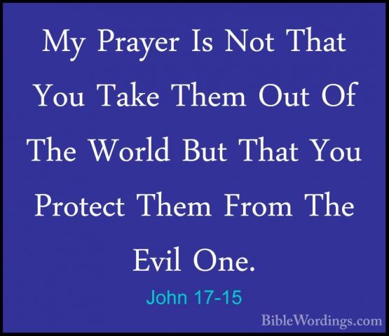 John 17-15 - My Prayer Is Not That You Take Them Out Of The WorldMy Prayer Is Not That You Take Them Out Of The World But That You Protect Them From The Evil One. 