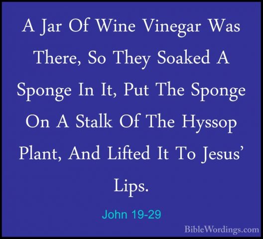 John 19-29 - A Jar Of Wine Vinegar Was There, So They Soaked A SpA Jar Of Wine Vinegar Was There, So They Soaked A Sponge In It, Put The Sponge On A Stalk Of The Hyssop Plant, And Lifted It To Jesus' Lips. 