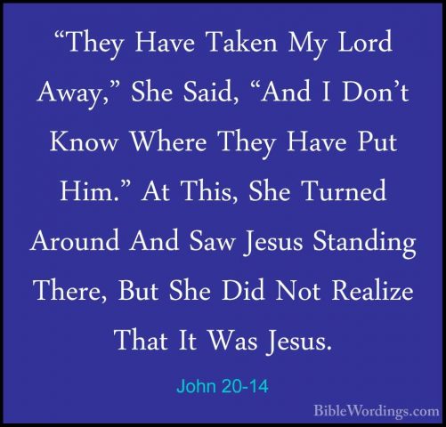 John 20-14 - "They Have Taken My Lord Away," She Said, "And I Don"They Have Taken My Lord Away," She Said, "And I Don't Know Where They Have Put Him." At This, She Turned Around And Saw Jesus Standing There, But She Did Not Realize That It Was Jesus. 