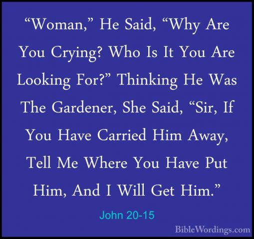 John 20-15 - "Woman," He Said, "Why Are You Crying? Who Is It You"Woman," He Said, "Why Are You Crying? Who Is It You Are Looking For?" Thinking He Was The Gardener, She Said, "Sir, If You Have Carried Him Away, Tell Me Where You Have Put Him, And I Will Get Him." 