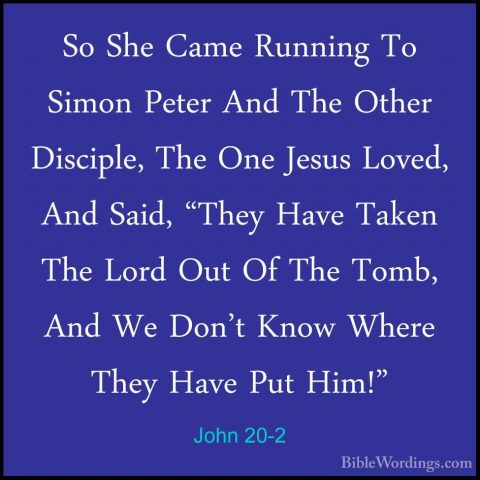 John 20-2 - So She Came Running To Simon Peter And The Other DiscSo She Came Running To Simon Peter And The Other Disciple, The One Jesus Loved, And Said, "They Have Taken The Lord Out Of The Tomb, And We Don't Know Where They Have Put Him!" 