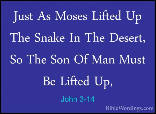 John 3-14 - Just As Moses Lifted Up The Snake In The Desert, So TJust As Moses Lifted Up The Snake In The Desert, So The Son Of Man Must Be Lifted Up, 