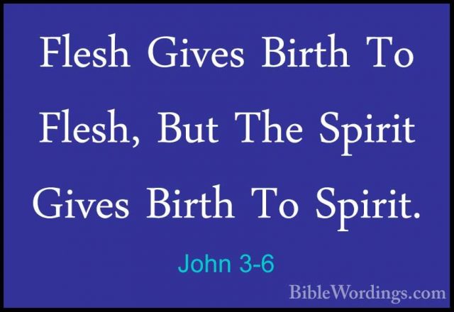 John 3-6 - Flesh Gives Birth To Flesh, But The Spirit Gives BirthFlesh Gives Birth To Flesh, But The Spirit Gives Birth To Spirit. 