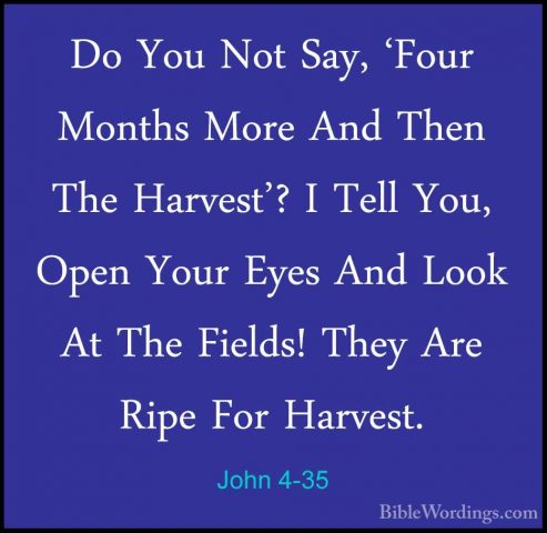John 4-35 - Do You Not Say, 'Four Months More And Then The HarvesDo You Not Say, 'Four Months More And Then The Harvest'? I Tell You, Open Your Eyes And Look At The Fields! They Are Ripe For Harvest. 