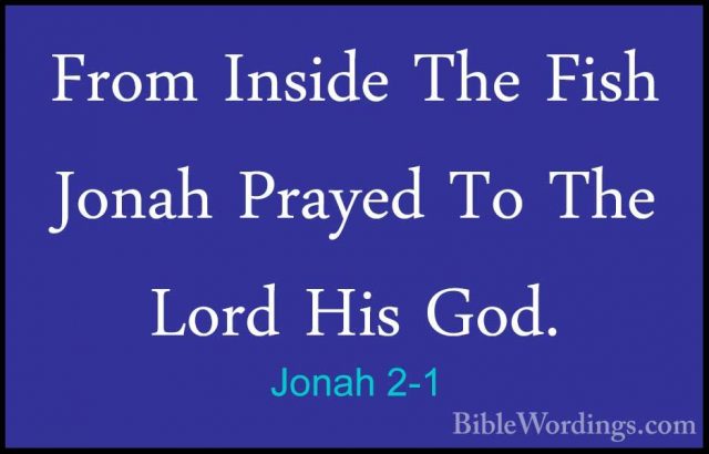 Jonah 2-1 - From Inside The Fish Jonah Prayed To The Lord His GodFrom Inside The Fish Jonah Prayed To The Lord His God. 