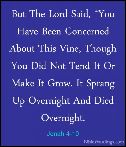 Jonah 4-10 - But The Lord Said, "You Have Been Concerned About ThBut The Lord Said, "You Have Been Concerned About This Vine, Though You Did Not Tend It Or Make It Grow. It Sprang Up Overnight And Died Overnight. 
