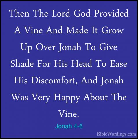 Jonah 4-6 - Then The Lord God Provided A Vine And Made It Grow UpThen The Lord God Provided A Vine And Made It Grow Up Over Jonah To Give Shade For His Head To Ease His Discomfort, And Jonah Was Very Happy About The Vine. 