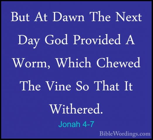 Jonah 4-7 - But At Dawn The Next Day God Provided A Worm, Which CBut At Dawn The Next Day God Provided A Worm, Which Chewed The Vine So That It Withered. 