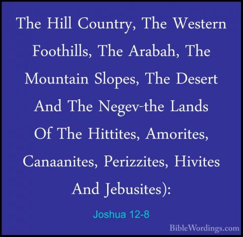 Joshua 12-8 - The Hill Country, The Western Foothills, The ArabahThe Hill Country, The Western Foothills, The Arabah, The Mountain Slopes, The Desert And The Negev-the Lands Of The Hittites, Amorites, Canaanites, Perizzites, Hivites And Jebusites): 