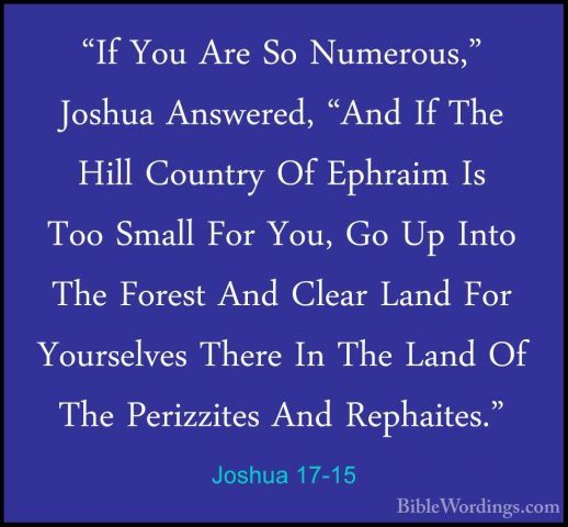 Joshua 17-15 - "If You Are So Numerous," Joshua Answered, "And If"If You Are So Numerous," Joshua Answered, "And If The Hill Country Of Ephraim Is Too Small For You, Go Up Into The Forest And Clear Land For Yourselves There In The Land Of The Perizzites And Rephaites." 