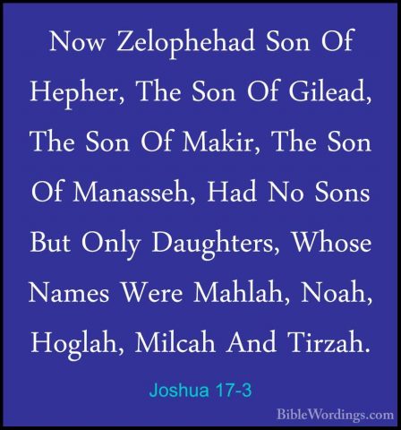 Joshua 17-3 - Now Zelophehad Son Of Hepher, The Son Of Gilead, ThNow Zelophehad Son Of Hepher, The Son Of Gilead, The Son Of Makir, The Son Of Manasseh, Had No Sons But Only Daughters, Whose Names Were Mahlah, Noah, Hoglah, Milcah And Tirzah. 