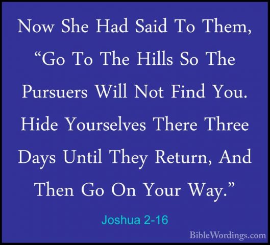 Joshua 2-16 - Now She Had Said To Them, "Go To The Hills So The PNow She Had Said To Them, "Go To The Hills So The Pursuers Will Not Find You. Hide Yourselves There Three Days Until They Return, And Then Go On Your Way." 