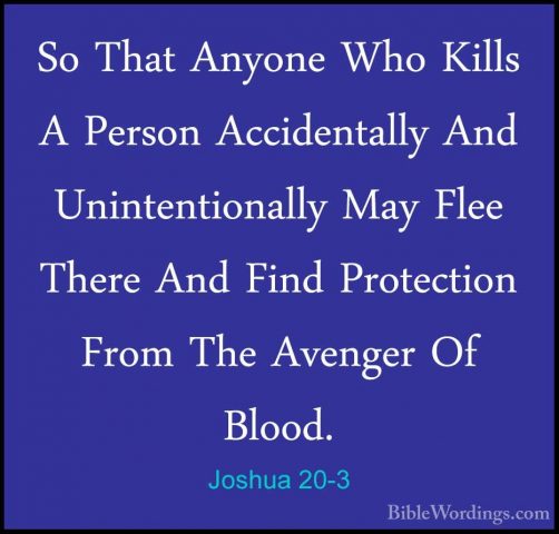 Joshua 20-3 - So That Anyone Who Kills A Person Accidentally AndSo That Anyone Who Kills A Person Accidentally And Unintentionally May Flee There And Find Protection From The Avenger Of Blood. 