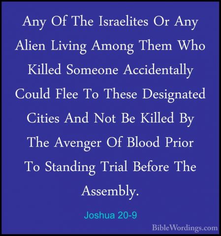 Joshua 20-9 - Any Of The Israelites Or Any Alien Living Among TheAny Of The Israelites Or Any Alien Living Among Them Who Killed Someone Accidentally Could Flee To These Designated Cities And Not Be Killed By The Avenger Of Blood Prior To Standing Trial Before The Assembly.