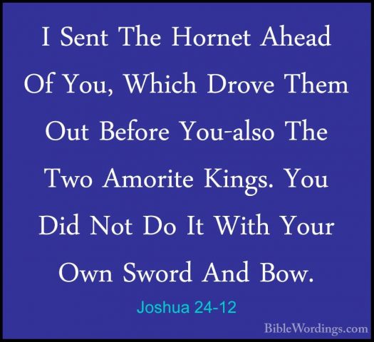 Joshua 24-12 - I Sent The Hornet Ahead Of You, Which Drove Them OI Sent The Hornet Ahead Of You, Which Drove Them Out Before You-also The Two Amorite Kings. You Did Not Do It With Your Own Sword And Bow. 