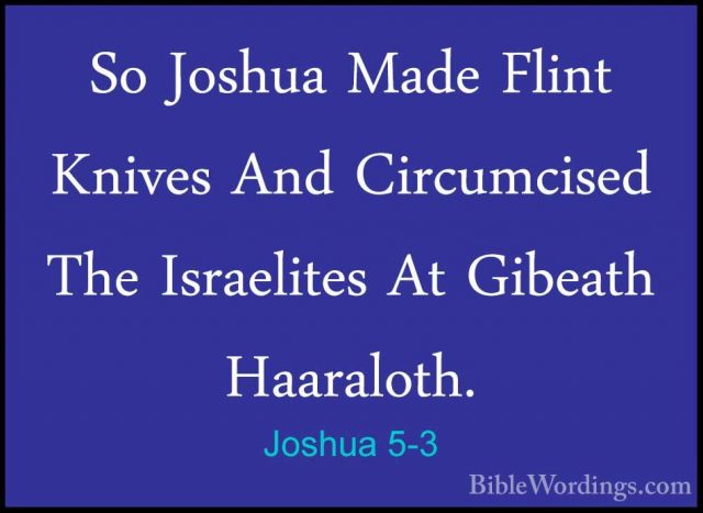 Joshua 5-3 - So Joshua Made Flint Knives And Circumcised The IsraSo Joshua Made Flint Knives And Circumcised The Israelites At Gibeath Haaraloth. 