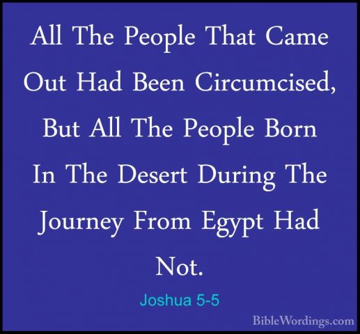 Joshua 5-5 - All The People That Came Out Had Been Circumcised, BAll The People That Came Out Had Been Circumcised, But All The People Born In The Desert During The Journey From Egypt Had Not. 