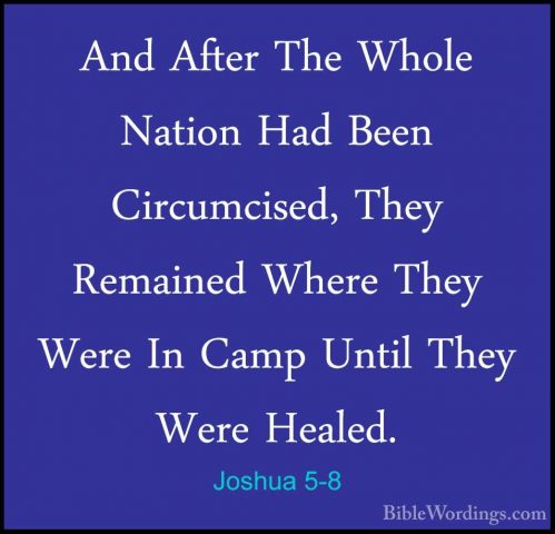 Joshua 5-8 - And After The Whole Nation Had Been Circumcised, TheAnd After The Whole Nation Had Been Circumcised, They Remained Where They Were In Camp Until They Were Healed. 