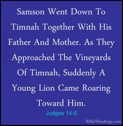 Judges 14-5 - Samson Went Down To Timnah Together With His FatherSamson Went Down To Timnah Together With His Father And Mother. As They Approached The Vineyards Of Timnah, Suddenly A Young Lion Came Roaring Toward Him. 