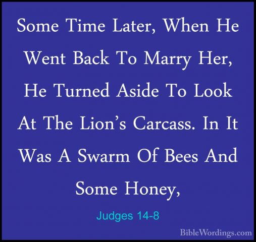 Judges 14-8 - Some Time Later, When He Went Back To Marry Her, HeSome Time Later, When He Went Back To Marry Her, He Turned Aside To Look At The Lion's Carcass. In It Was A Swarm Of Bees And Some Honey, 