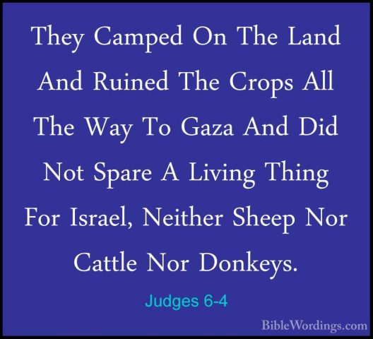 Judges 6-4 - They Camped On The Land And Ruined The Crops All TheThey Camped On The Land And Ruined The Crops All The Way To Gaza And Did Not Spare A Living Thing For Israel, Neither Sheep Nor Cattle Nor Donkeys. 