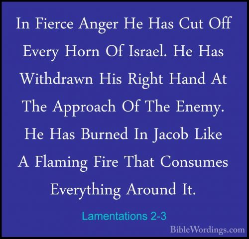 Lamentations 2-3 - In Fierce Anger He Has Cut Off Every Horn Of IIn Fierce Anger He Has Cut Off Every Horn Of Israel. He Has Withdrawn His Right Hand At The Approach Of The Enemy. He Has Burned In Jacob Like A Flaming Fire That Consumes Everything Around It. 