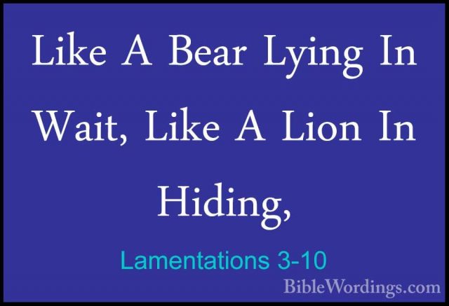 Lamentations 3-10 - Like A Bear Lying In Wait, Like A Lion In HidLike A Bear Lying In Wait, Like A Lion In Hiding, 