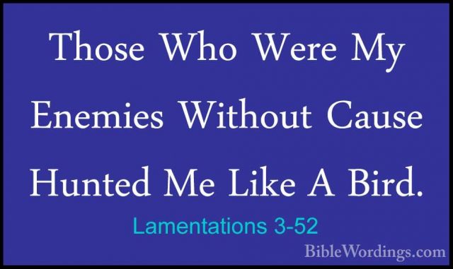 Lamentations 3-52 - Those Who Were My Enemies Without Cause HunteThose Who Were My Enemies Without Cause Hunted Me Like A Bird. 