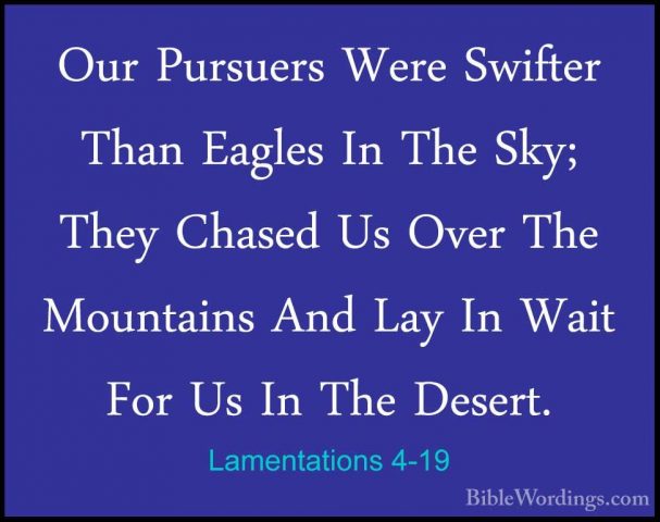 Lamentations 4-19 - Our Pursuers Were Swifter Than Eagles In TheOur Pursuers Were Swifter Than Eagles In The Sky; They Chased Us Over The Mountains And Lay In Wait For Us In The Desert. 