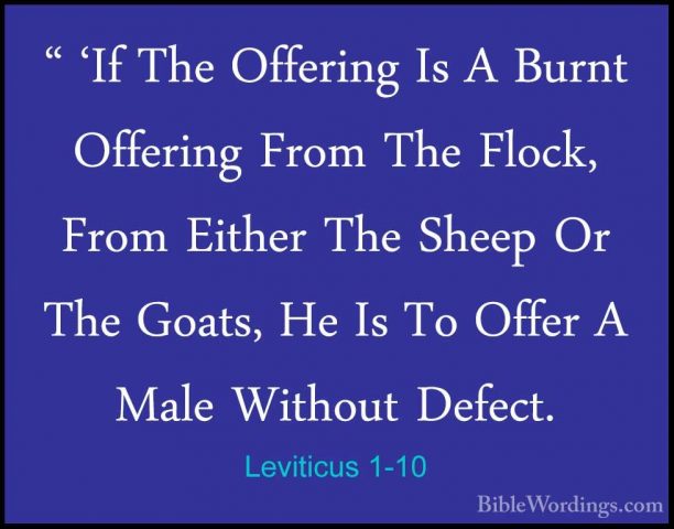 Leviticus 1-10 - " 'If The Offering Is A Burnt Offering From The" 'If The Offering Is A Burnt Offering From The Flock, From Either The Sheep Or The Goats, He Is To Offer A Male Without Defect. 
