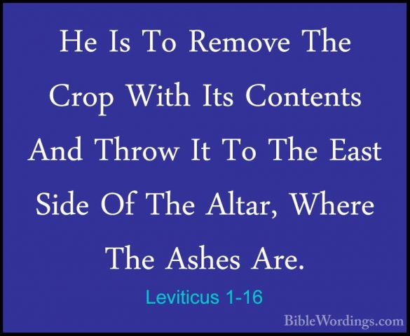 Leviticus 1-16 - He Is To Remove The Crop With Its Contents And THe Is To Remove The Crop With Its Contents And Throw It To The East Side Of The Altar, Where The Ashes Are. 