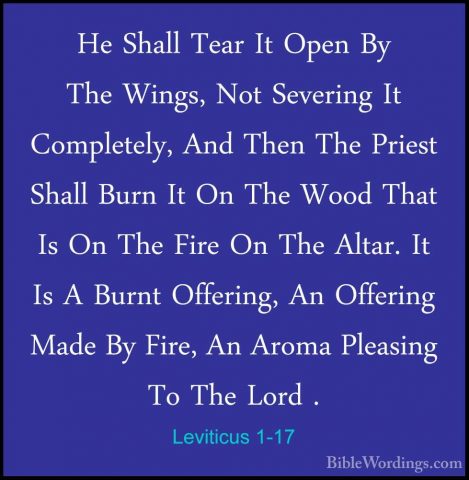 Leviticus 1-17 - He Shall Tear It Open By The Wings, Not SeveringHe Shall Tear It Open By The Wings, Not Severing It Completely, And Then The Priest Shall Burn It On The Wood That Is On The Fire On The Altar. It Is A Burnt Offering, An Offering Made By Fire, An Aroma Pleasing To The Lord .