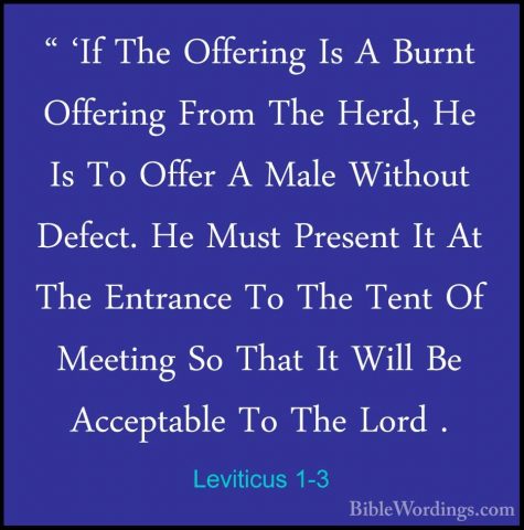 Leviticus 1-3 - " 'If The Offering Is A Burnt Offering From The H" 'If The Offering Is A Burnt Offering From The Herd, He Is To Offer A Male Without Defect. He Must Present It At The Entrance To The Tent Of Meeting So That It Will Be Acceptable To The Lord . 