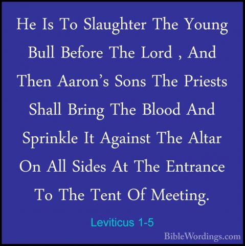 Leviticus 1-5 - He Is To Slaughter The Young Bull Before The LordHe Is To Slaughter The Young Bull Before The Lord , And Then Aaron's Sons The Priests Shall Bring The Blood And Sprinkle It Against The Altar On All Sides At The Entrance To The Tent Of Meeting. 