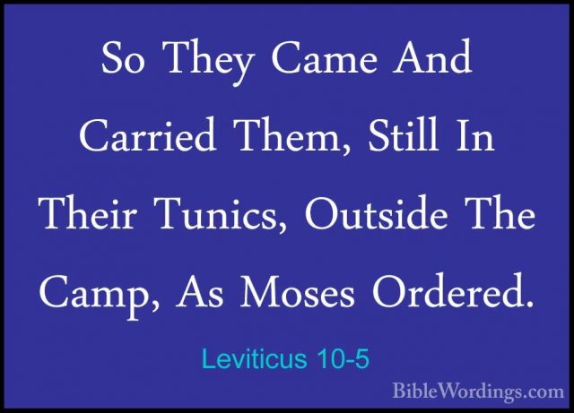 Leviticus 10-5 - So They Came And Carried Them, Still In Their TuSo They Came And Carried Them, Still In Their Tunics, Outside The Camp, As Moses Ordered. 