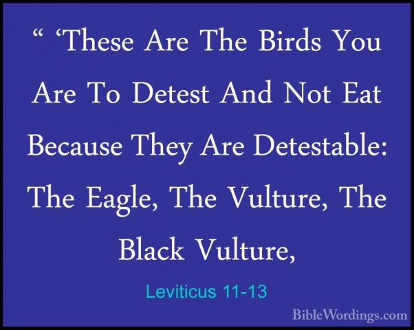 Leviticus 11-13 - " 'These Are The Birds You Are To Detest And No" 'These Are The Birds You Are To Detest And Not Eat Because They Are Detestable: The Eagle, The Vulture, The Black Vulture, 