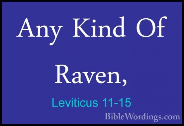 Leviticus 11-15 - Any Kind Of Raven,Any Kind Of Raven, 
