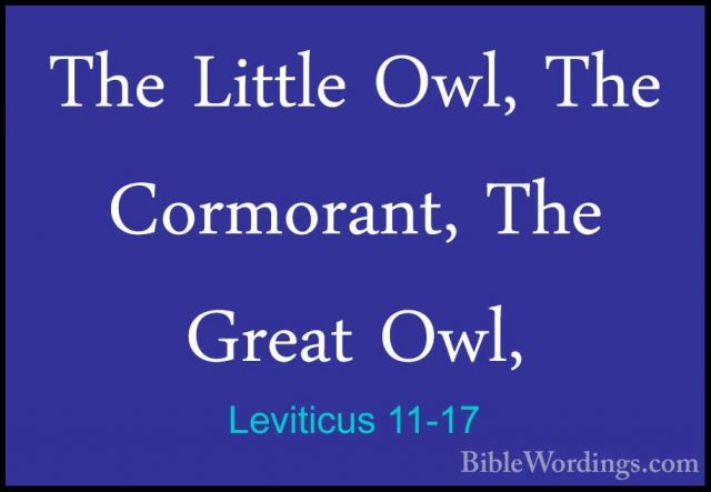 Leviticus 11-17 - The Little Owl, The Cormorant, The Great Owl,The Little Owl, The Cormorant, The Great Owl, 