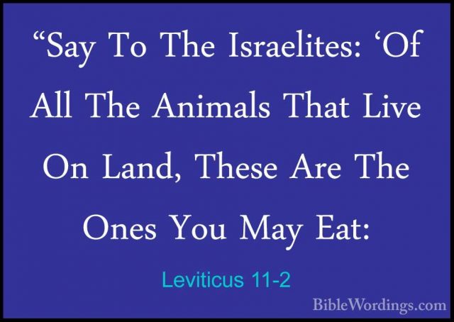 Leviticus 11-2 - "Say To The Israelites: 'Of All The Animals That"Say To The Israelites: 'Of All The Animals That Live On Land, These Are The Ones You May Eat: 