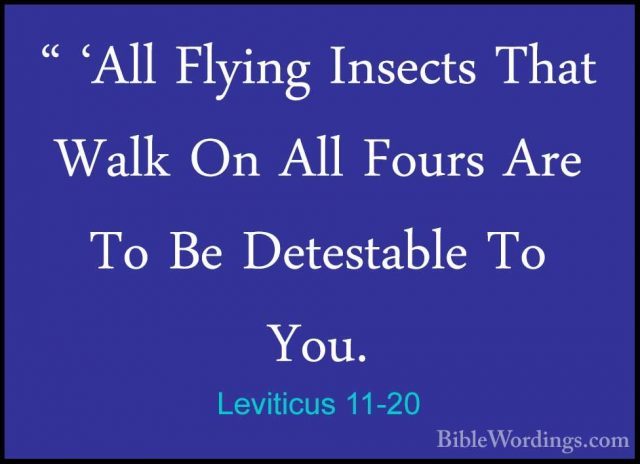Leviticus 11-20 - " 'All Flying Insects That Walk On All Fours Ar" 'All Flying Insects That Walk On All Fours Are To Be Detestable To You. 