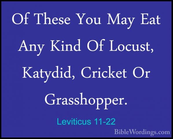 Leviticus 11-22 - Of These You May Eat Any Kind Of Locust, KatydiOf These You May Eat Any Kind Of Locust, Katydid, Cricket Or Grasshopper. 